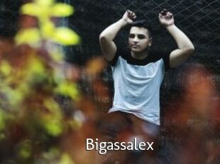 Bigassalex