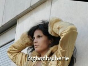 Bigboobscherie