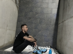 Bigboss22