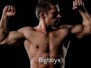 Bigboyx