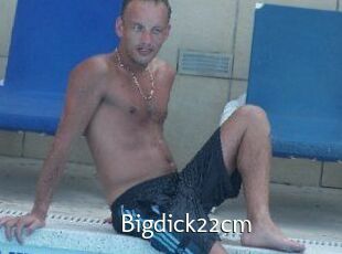 Bigdick22cm