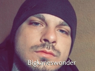 Bigkaneswonder