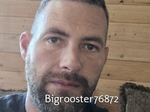 Bigrooster76872