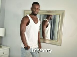 Bigsanty