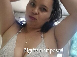 Bigtitsmariposa