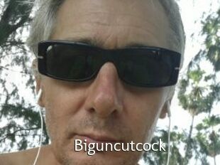Biguncutcock
