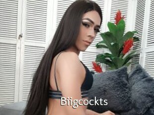 Biigcockts