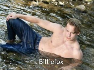 Billiefox