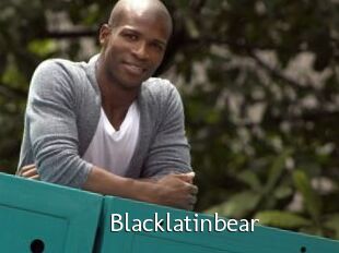Blacklatinbear