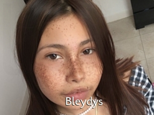 Bleydys