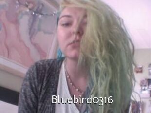 Bluebird0316