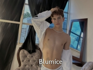 Blumice