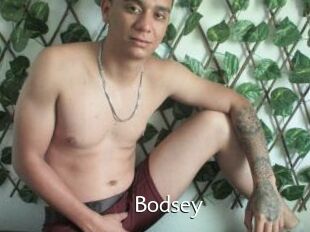 Bodsey