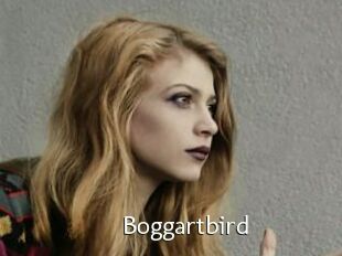 Boggartbird