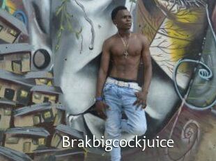 Brakbigcockjuice