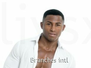 Branches_intl