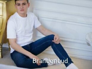 Brandonbud