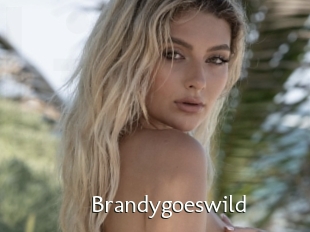 Brandygoeswild