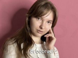 Breebrach