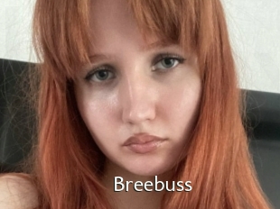 Breebuss
