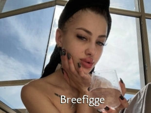 Breefigge