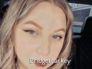 Bridgetharkey