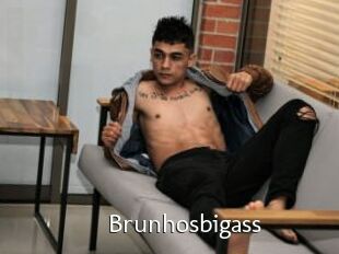 Brunhosbigass