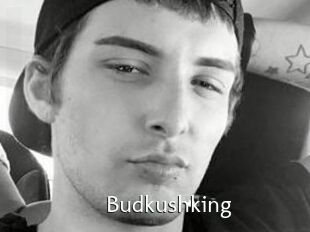 Budkushking