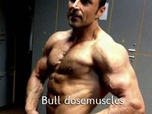 Bull_dosemuscles