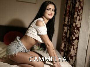 CAMMELYA_