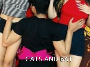 CATS_AND_BAT