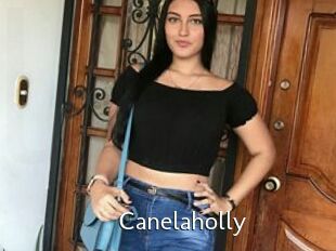 Canelaholly