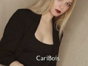 CariBois
