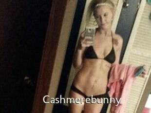 Cashmerebunny