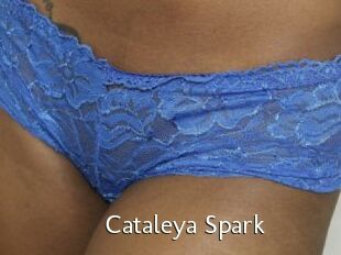 Cataleya_Spark