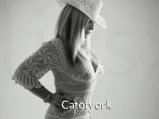Catofyork
