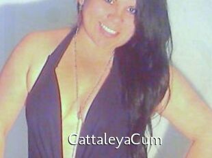 CattaleyaCum