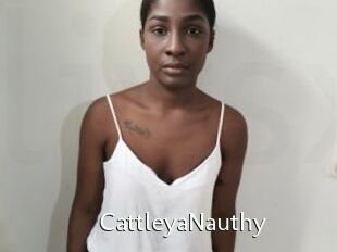 CattleyaNauthy