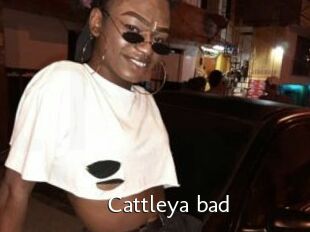 Cattleya_bad