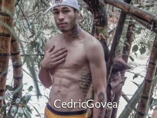 CedricGovea