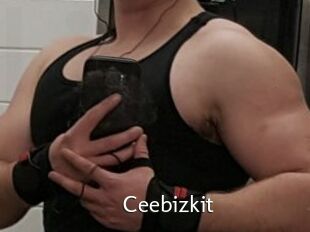 Ceebizkit
