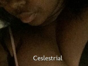 Ceslestrial
