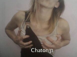 Chaton31