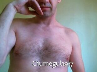 Ciumegul1977