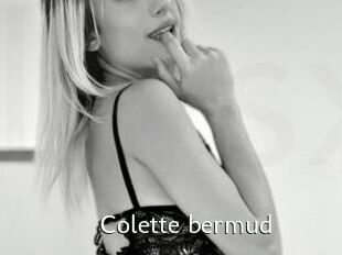 Colette_bermud