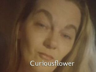 Curiousflower