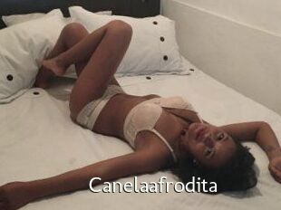 Canelaafrodita