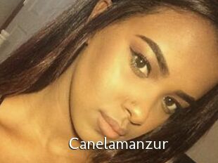 Canelamanzur