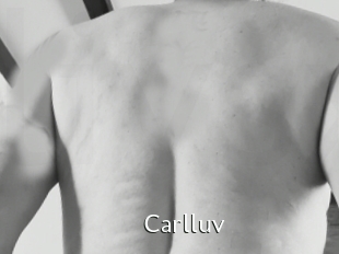 Carlluv