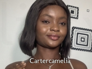 Cartercamelia